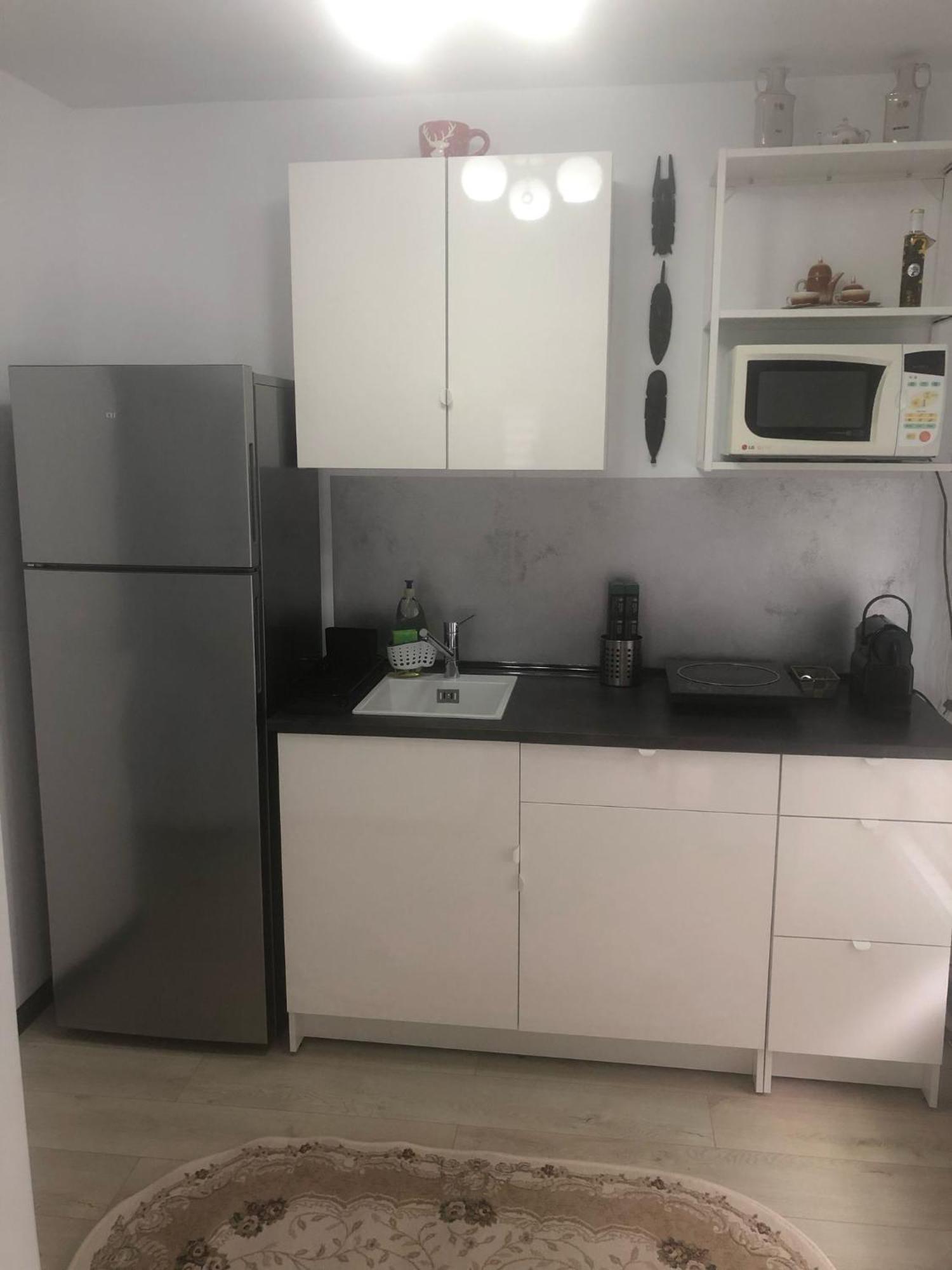 Apartment Studio Faleza Nord-banu Mihalcea